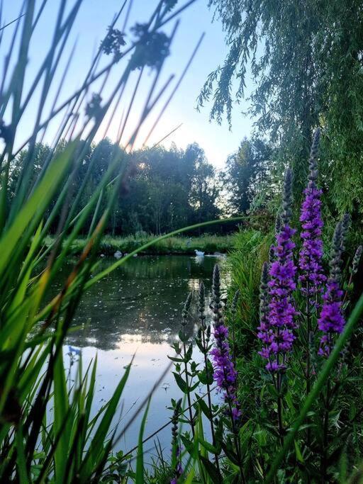 La Villa D'Aurel De 140M2, 2 Hectares De Nature Fruges Kültér fotó